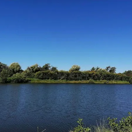 Prázdninový dům 8 Person In Oksbol-by Traum