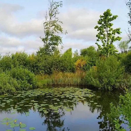 8 Person In Oksbol-by Traum * Oksbøl