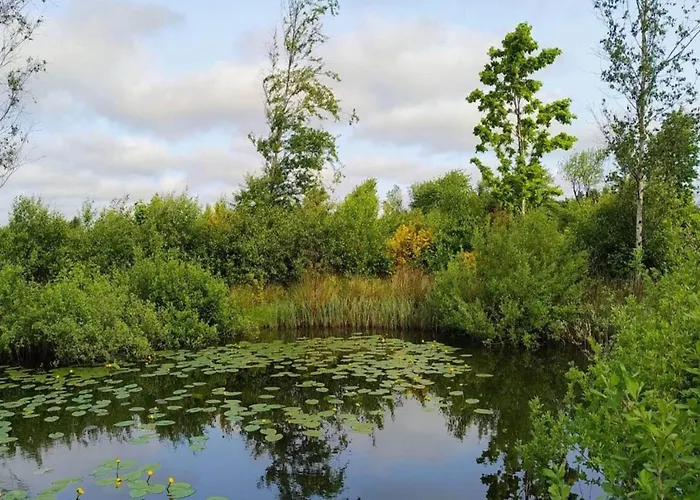 8 Person In Oksbol-by Traum * Oksbøl
